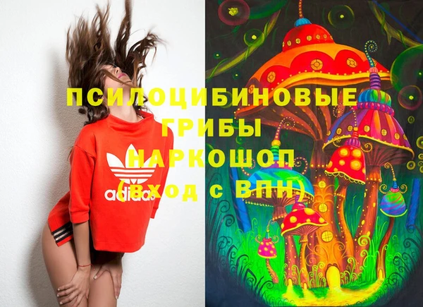 СК Балахна